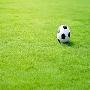 С 1 сентября 2018 года будет действовать новый стандарт на футбольные поля с травяным покрытием