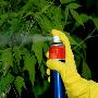 Опубликован новый регламент предоставления госуслуги по государственной регистрации пестицидов