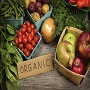 В России утвержден закон Федерального значения об органической продукции